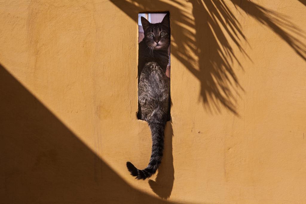 Dar Kleta Hotell Marrakesh Exteriör bild